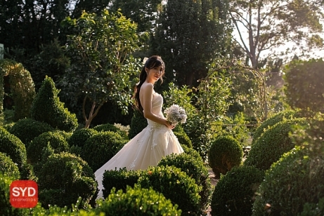Best Pre Wedding Photography Sydney