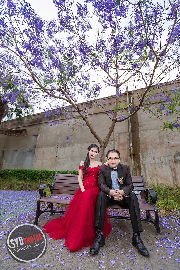 photos id-76459-马小文-wedding-悉尼婚纱摄影@sydphotos